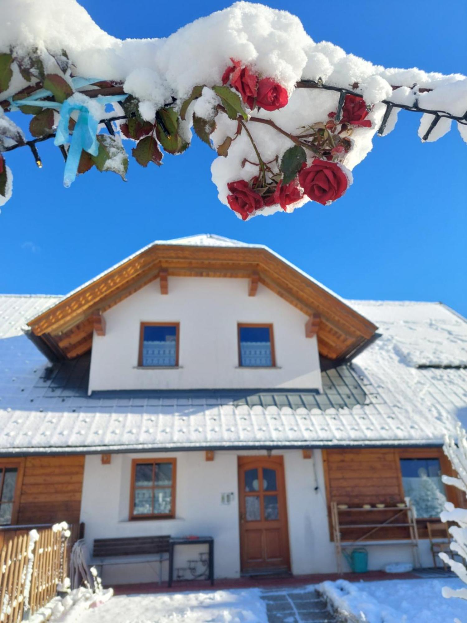 Bed and Breakfast Al Sentiero Di Charly Тарвизио Экстерьер фото